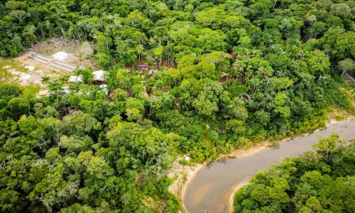 Solar e Baterias Viabilizam Miniusinas de Óleos Amazônicos